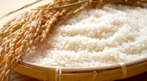 米と酵母の違いから日本酒の味・風味を予想する