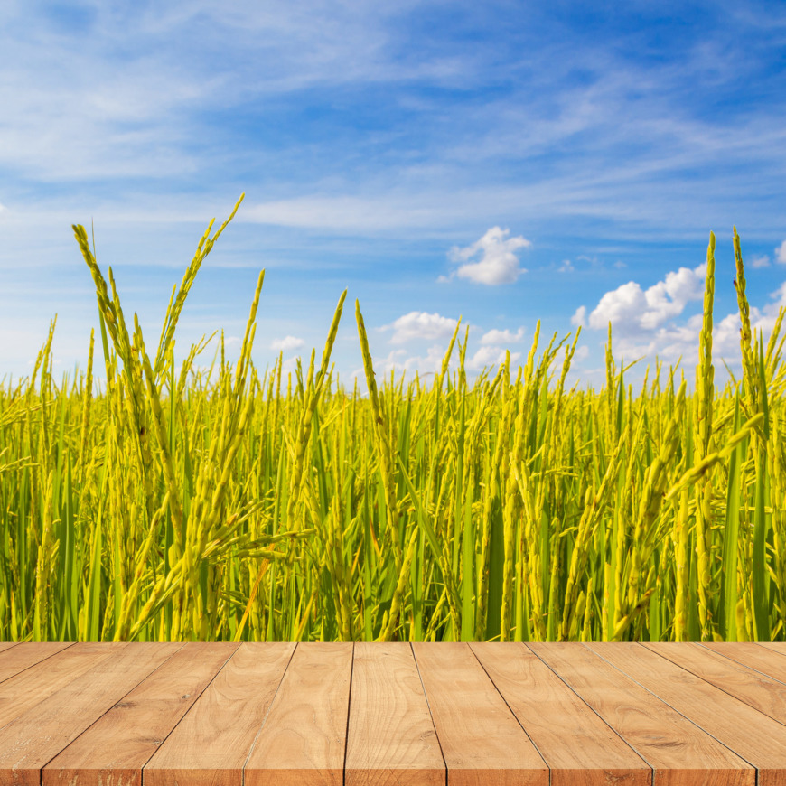 玄米の栄養素と効果効能とは？豊富な食物繊維やビタミンBが健康の鍵