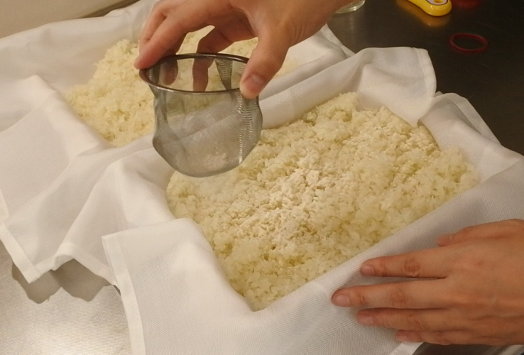 5. 蒸し米に種麹をふりかける（種切）