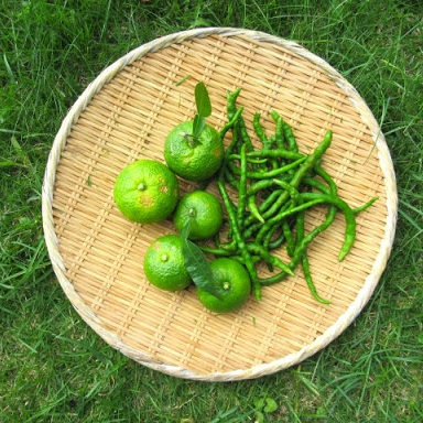 柚子胡椒の作り方 レシピアイデア フレッシュ柚子胡椒をフル活用 Food For Well Being かわしま屋のwebメディア