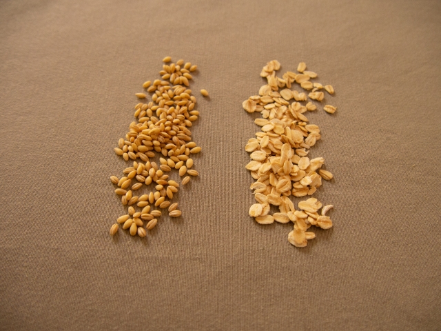 もち麦と押麦・大麦の違いは？