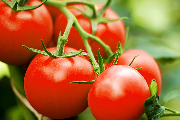 トマト酢 体がよろこぶ効果と美味しいレシピ 作り方 Food For Well Being かわしま屋のwebメディア