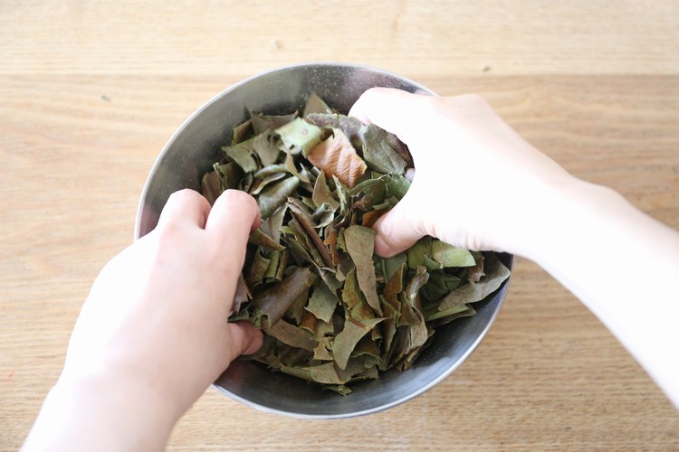 びわの葉エキスの作り方｜効能とさまざまな使い方 Food for Wellbeing かわしま屋のWebメディア