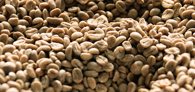 コーヒー生豆とは