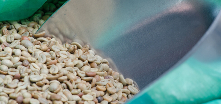 竹林さんが考えるコーヒー生豆の選び方とは
