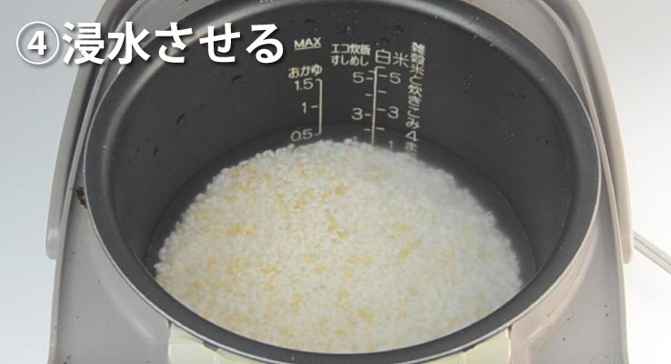 緑米の美味しい炊き方 浸水する