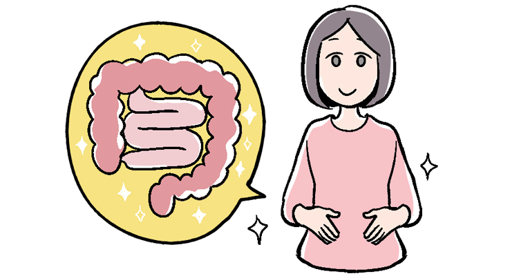 腸内のイメージ