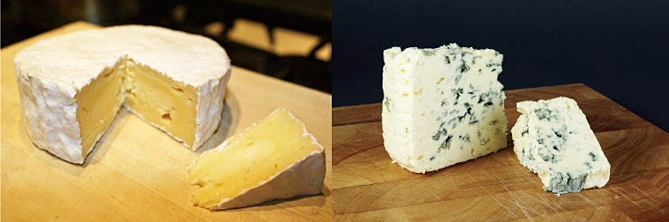 チーズ作りに用いられるカビとそのほかの微生物