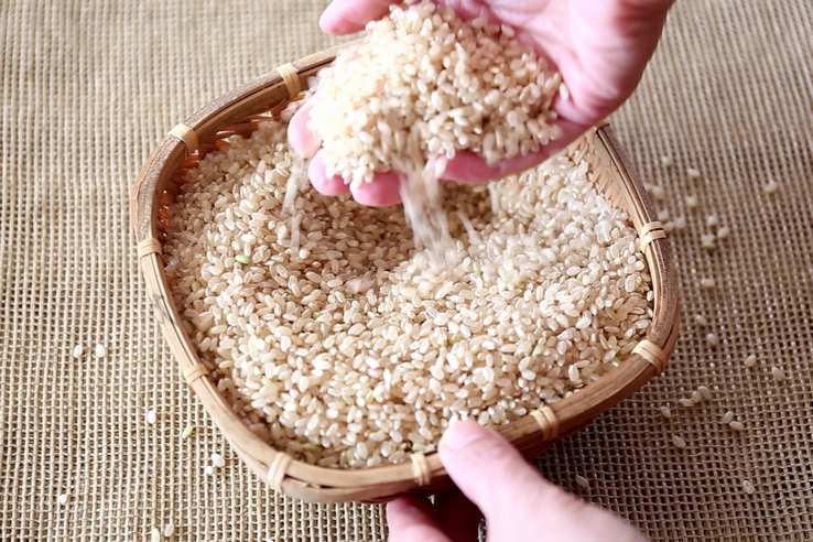 安全面が気になる方は無農薬の玄米を選ぼう
