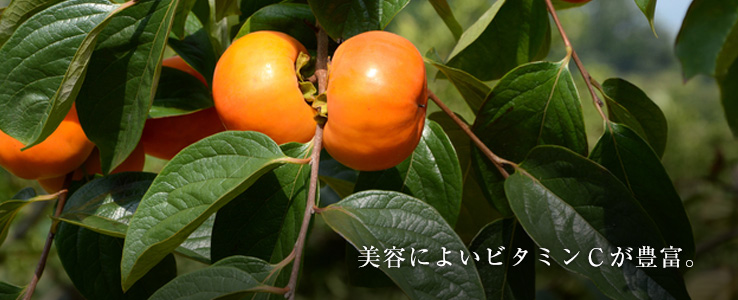 柿の特徴